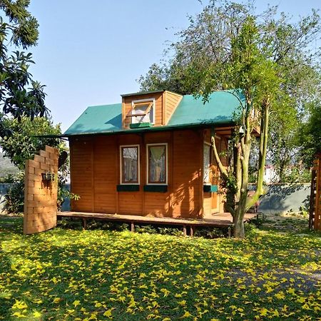 Mini House Park Hotel Campo Alegre  Kültér fotó