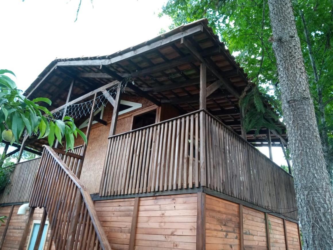 Mini House Park Hotel Campo Alegre  Kültér fotó