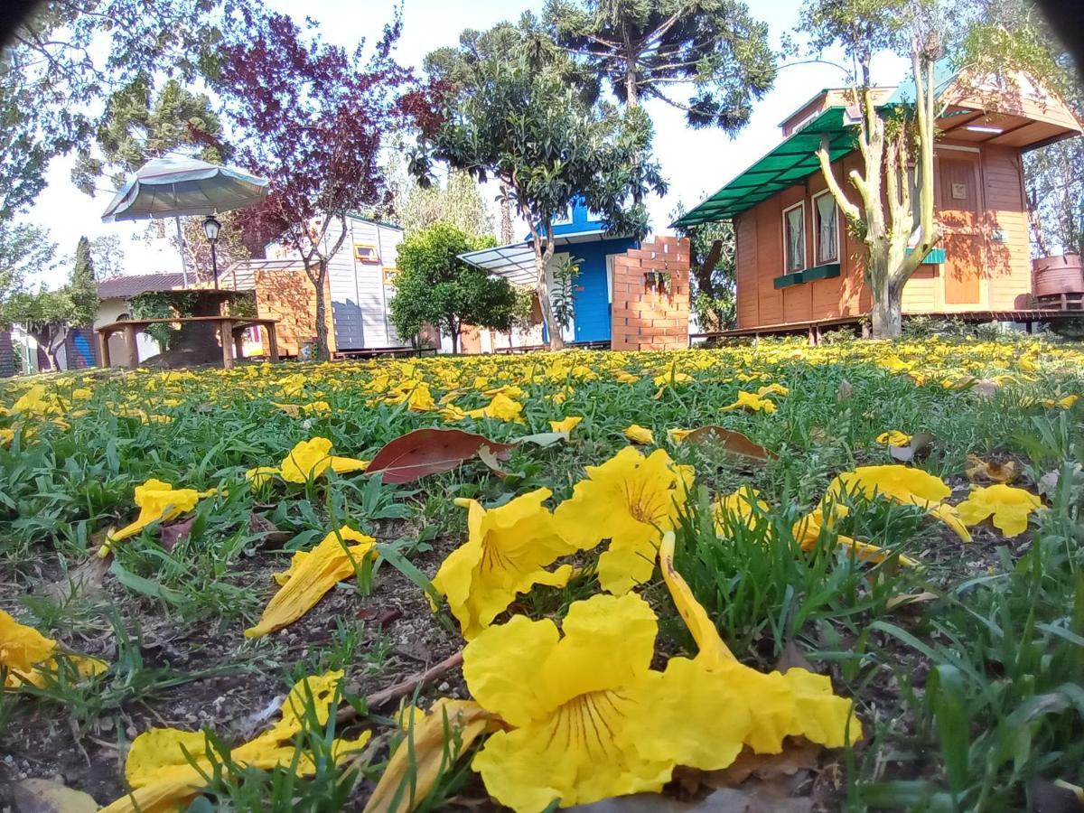 Mini House Park Hotel Campo Alegre  Kültér fotó