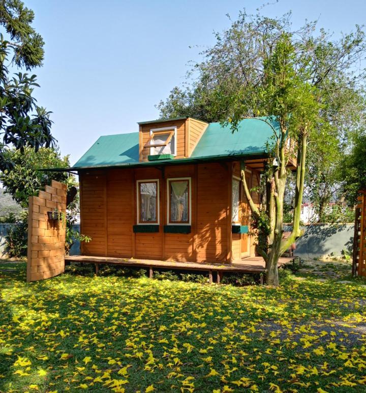 Mini House Park Hotel Campo Alegre  Kültér fotó