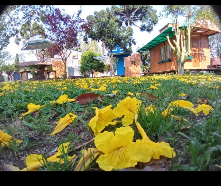 Mini House Park Hotel Campo Alegre  Kültér fotó